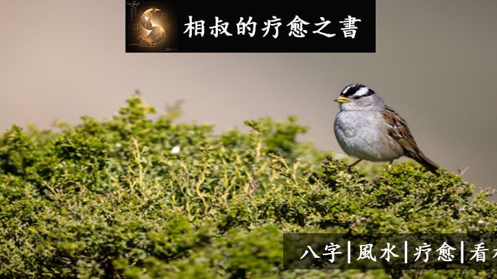 三月2日生肖运势全面解析,运势起伏,宜谨慎行事,事业,挑战,希望,第1张 三月2日生肖运势全面解析,运势起伏,宜谨慎行事,事业,挑战,希望,第1张