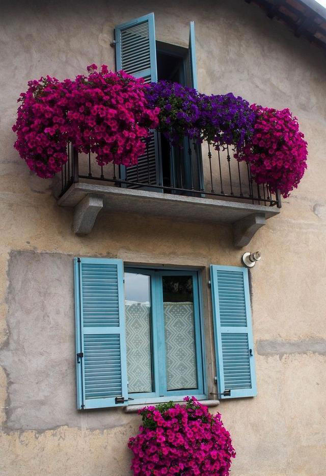 窗台摆放铜钱的奥秘,如何选择最佳铜钱提升家居运势?,象征,事业,希望,第1张 窗台摆放铜钱的奥秘,如何选择最佳铜钱提升家居运势?,象征,事业,希望,第1张