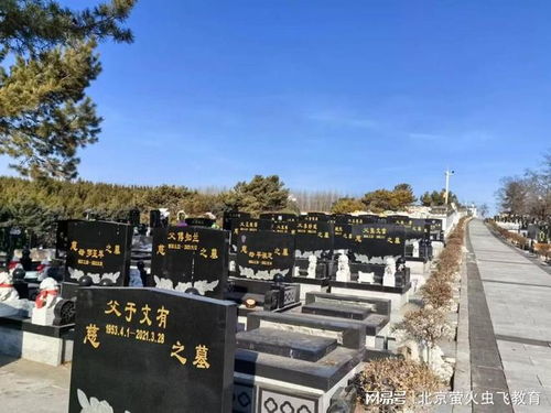 罗朱陈,探寻宝地,揭秘命理选址秘籍,象征,事业,算命,第1张 罗朱陈,探寻宝地,揭秘命理选址秘籍,象征,事业,算命,第1张