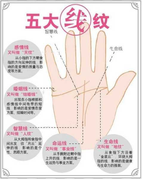 揭秘看手相算命,这些经典古籍带你入门手相学奥秘,命运,算命,风水,第1张 揭秘看手相算命,这些经典古籍带你入门手相学奥秘,命运,算命,风水,第1张