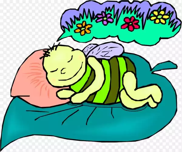 梦见吃蜂儿,揭秘梦境中的预示与心理解读,象征,事业,希望,第1张 梦见吃蜂儿,揭秘梦境中的预示与心理解读,象征,事业,希望,第1张