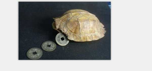 古韵盎然,一掷求签,揭秘传统占卜的神秘魅力,象征,求签,吉凶,第1张 古韵盎然,一掷求签,揭秘传统占卜的神秘魅力,象征,求签,吉凶,第1张