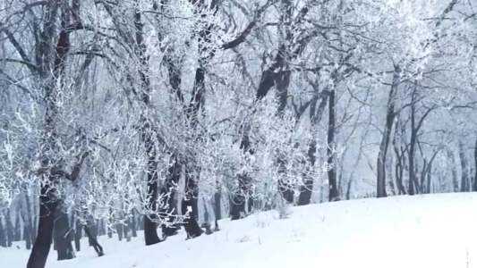 梦见大雪,揭秘梦境中的神秘兆头与解梦指南,象征,事业,解梦,第1张 梦见大雪,揭秘梦境中的神秘兆头与解梦指南,象征,事业,解梦,第1张