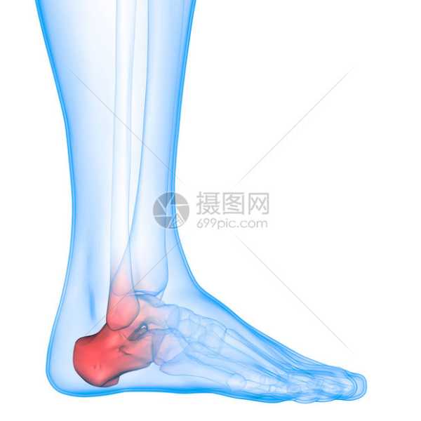 脚脖子纹身，如何选择寓意好的图案？揭秘神秘纹身艺术与运势的融合,象征,事业,美好,第1张