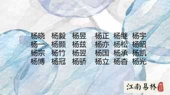 杨荣宝宝取名,传承经典,寓意美好,这些名字值得一品!,宝宝取名,美好,光明,第1张 杨荣宝宝取名,传承经典,寓意美好,这些名字值得一品!,宝宝取名,美好,光明,第1张