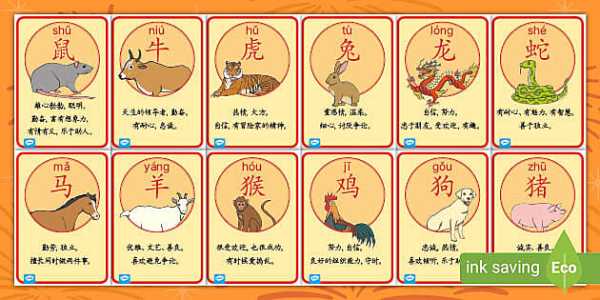 生肖蛇今日财运运势揭秘,明日运势展望,财运亨通在望!,事业,挑战,财运,第1张 生肖蛇今日财运运势揭秘,明日运势展望,财运亨通在望!,事业,挑战,财运,第1张