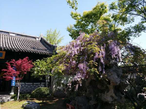 文清阁开馆大吉,详尽时间表带你领略文化盛宴的序幕,事业,吉时,合作,第1张 文清阁开馆大吉,详尽时间表带你领略文化盛宴的序幕,事业,吉时,合作,第1张