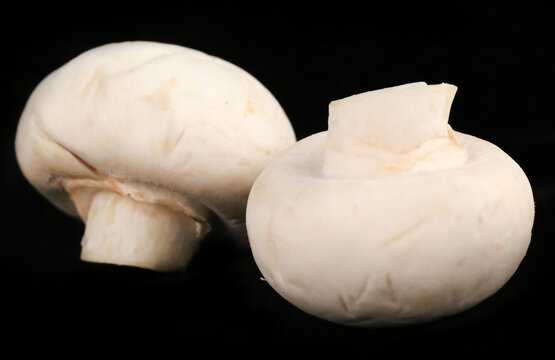 解梦梦见白蘑菇,揭示梦境中的神秘寓意,象征,事业,解梦,第1张 解梦梦见白蘑菇,揭示梦境中的神秘寓意,象征,事业,解梦,第1张