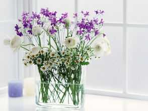 家居秘籍,走道摆放绿植的最佳选择及意义,事业,希望,气场,第1张 家居秘籍,走道摆放绿植的最佳选择及意义,事业,希望,气场,第1张