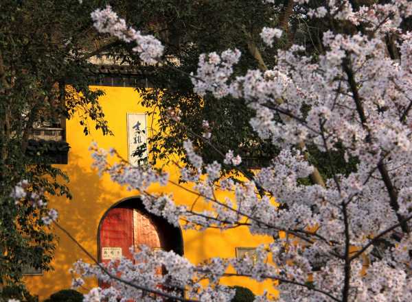 求签财运网下载,揭秘古老财运文化在现代的传承与创新,命运,求签,文化传承,第1张 求签财运网下载,揭秘古老财运文化在现代的传承与创新,命运,求签,文化传承,第1张