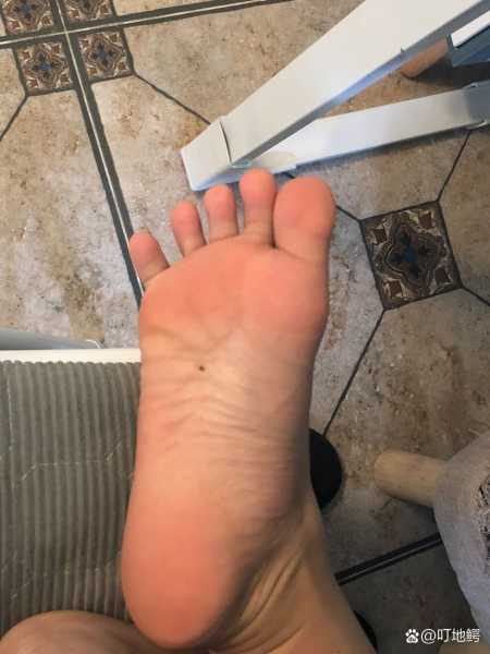 揭秘脚底有痣的吉凶奥秘,女性脚底痣位图解与运势分析,命运,事业,吉凶,第1张 揭秘脚底有痣的吉凶奥秘,女性脚底痣位图解与运势分析,命运,事业,吉凶,第1张