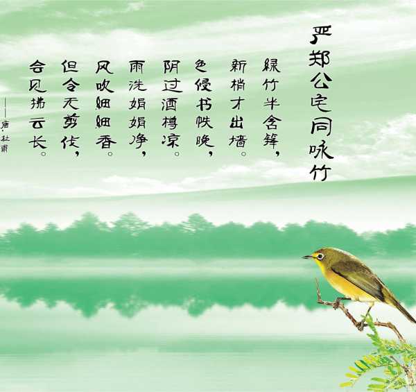 养鸟栽花空缱绻，如何解签探寻心灵慰藉之道,象征,美好,时光,第1张