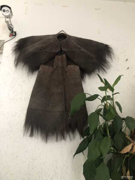 棕衣含义揭秘,探寻棕衣在中的神秘力量,象征,希望,能量,第1张 棕衣含义揭秘,探寻棕衣在中的神秘力量,象征,希望,能量,第1张