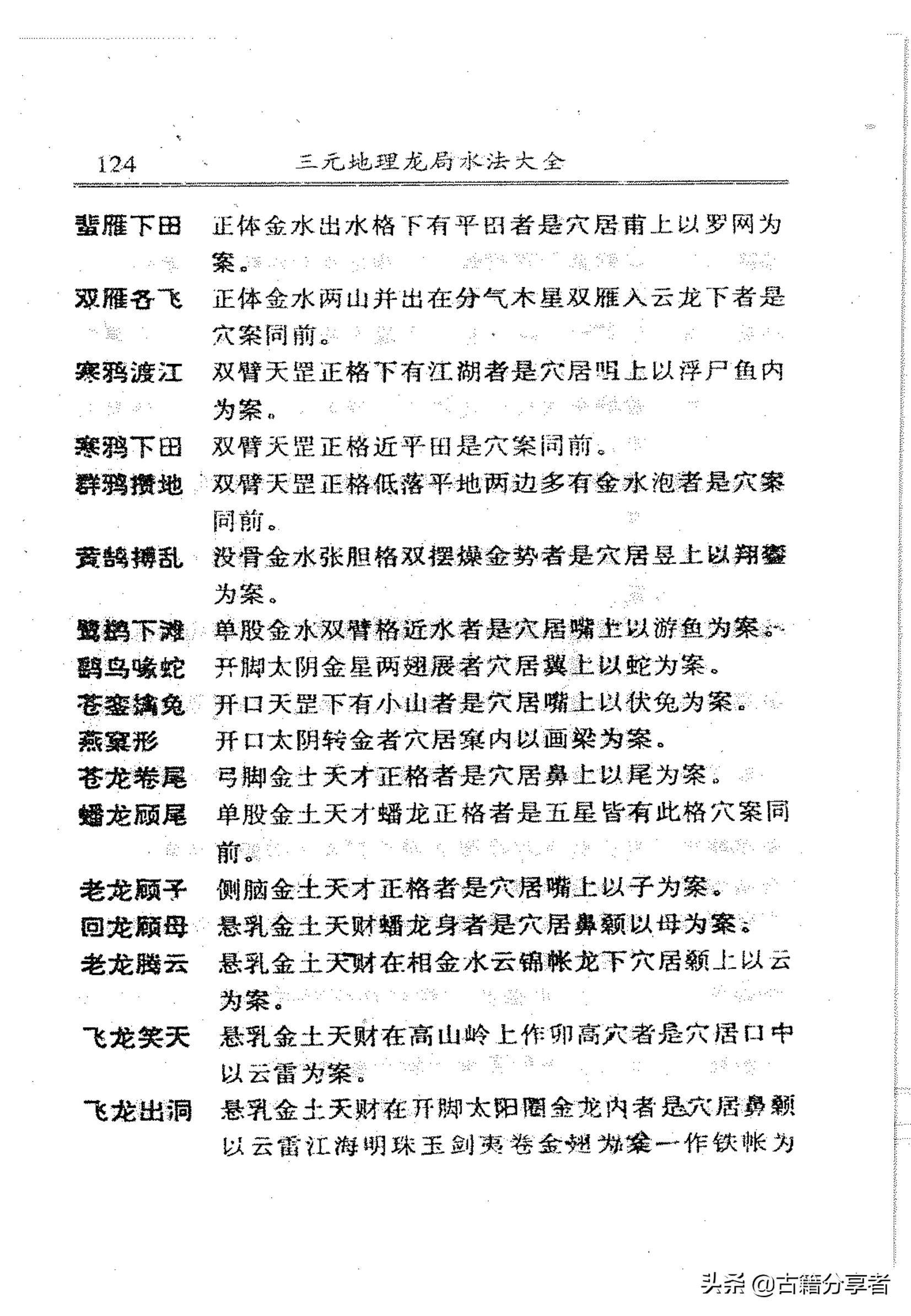 揭秘木龙之谜,什么颜色最适合提升家居运势?,象征,事业,希望,第1张 揭秘木龙之谜,什么颜色最适合提升家居运势?,象征,事业,希望,第1张