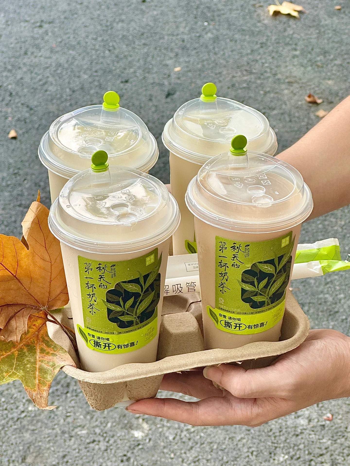 奶茶杯求签筒,传统与现代的融合,一杯奶茶中的神秘之旅,八字,求签,风水,第1张 奶茶杯求签筒,传统与现代的融合,一杯奶茶中的神秘之旅,八字,求签,风水,第1张