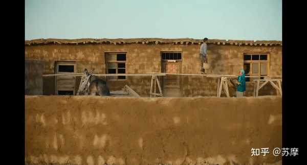 屋里来了麻雀,揭秘其背后的神秘预兆与解梦意义,象征,事业,解梦,第1张 屋里来了麻雀,揭秘其背后的神秘预兆与解梦意义,象征,事业,解梦,第1张