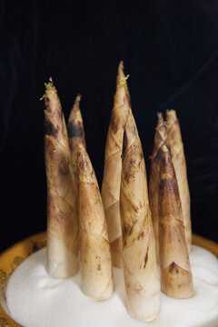 梦见扯笋的寓意与解梦解析,象征,事业,希望,第1张 梦见扯笋的寓意与解梦解析,象征,事业,希望,第1张