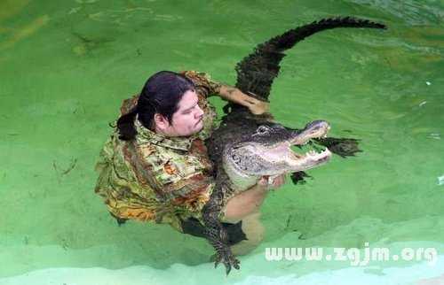 梦见大猪进家门，揭秘梦境中的寓意与预兆,象征,事业,美好,第1张