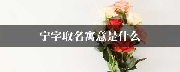 巧用宁字为女宝宝取名,寓意宁静优雅,传承美好家风,希望,宝宝取名,美好,第1张 巧用宁字为女宝宝取名,寓意宁静优雅,传承美好家风,希望,宝宝取名,美好,第1张