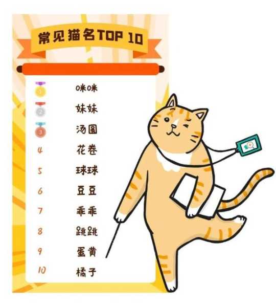给小猫起名，如何通过吉凶查询选择一个的名字？,八字,吉凶,星座,第1张