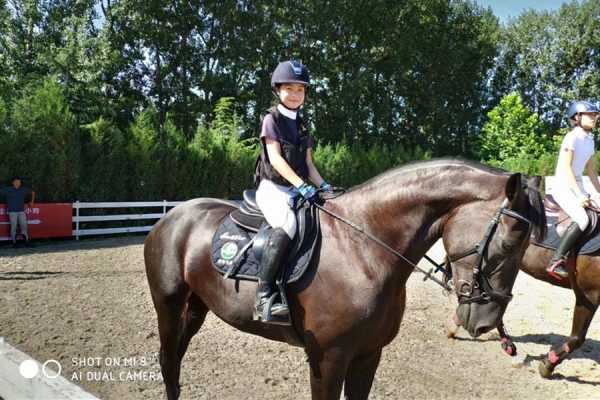 十二星座专属单车,骑行者的星座之旅,十二星座,星座,美好,第1张 十二星座专属单车,骑行者的星座之旅,十二星座,星座,美好,第1张