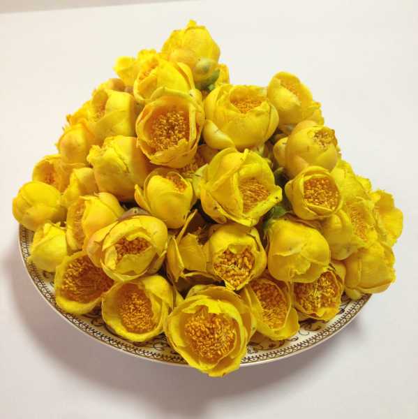 金花属性揭秘,探寻其独特的五行属性与寓意,象征,事业,希望,第1张 金花属性揭秘,探寻其独特的五行属性与寓意,象征,事业,希望,第1张