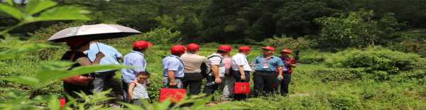 探寻神秘之地,姜堰娄算命在何处藏匿?,命运,八字,算命,第1张 探寻神秘之地,姜堰娄算命在何处藏匿?,命运,八字,算命,第1张