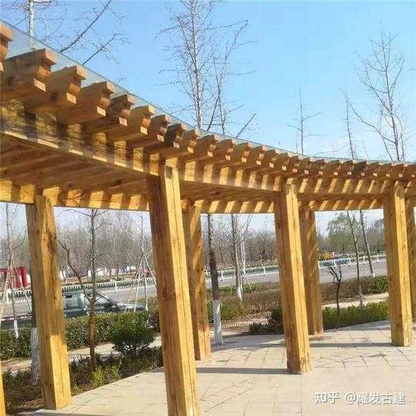 家居提升之道，木花架摆设的花卉选择指南,象征,希望,风水,第1张