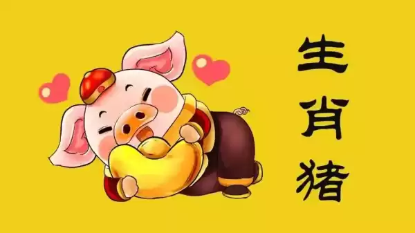 95年生肖猪本命年运势揭秘，连连，福星高照,事业,财运,时光,第1张