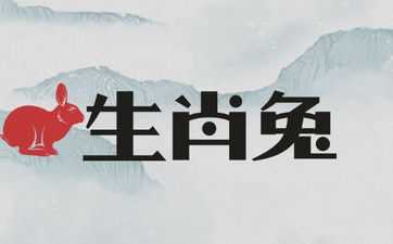 1987年生肖兔男性运势全面解析，机遇与并存的一年,事业,挑战,合作,第1张