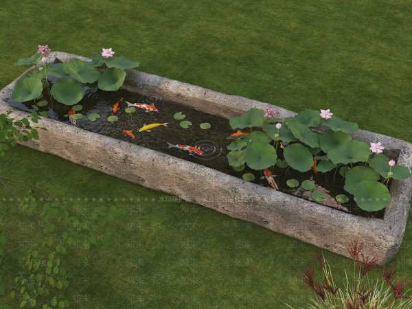 锦鲤池布局，挑选何种颜色铺底最旺运？,象征,希望,气场,第1张