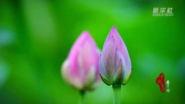 赤峰荷岸，探寻赤峰高品质宜居社区的奥秘,美好,风水,地理位置,第1张
