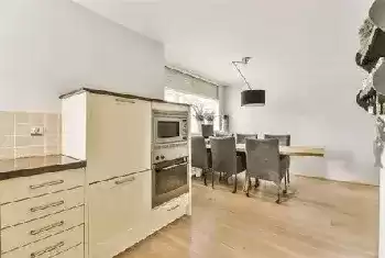 装修房子养什么合理，打造和谐宜居的家居环境,事业,风水,财运,第1张