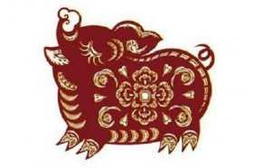 2023年生肖猪女运势解析，机遇与并存，运势旺上加旺！,事业,挑战,财运,第1张