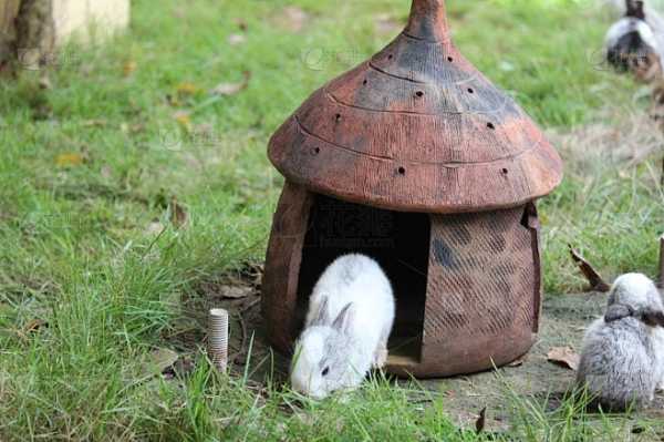 陶氏兔宝宝，创意，取名的艺术之旅,象征,宝宝取名,美好,第1张