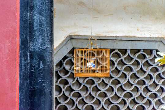 揭秘美学，鸟笼形状选择指南，让你的家居更上一层楼,象征,事业,美好,第1张