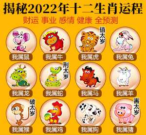 十二生肖6月十日运势揭秘，运势起伏，如何把握？,挑战,美好,财运,第1张