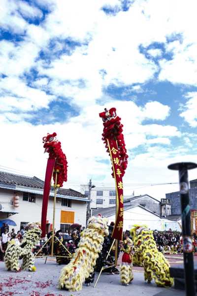 醒狮，揭秘传统习俗中的神秘讲究,象征,事业,风水,第1张