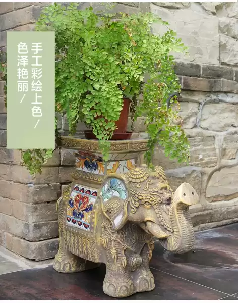 门外宝物，揭秘最适合养在门外的物,象征,希望,气场,第1张