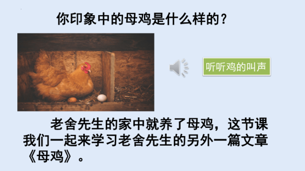 母鸡算命，揭秘其为何算命不准的奥秘,算命,吉凶,解读,第1张