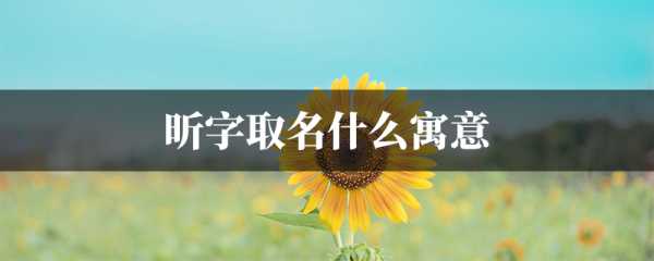 兔宝宝名字带昕如何取？创意与寓意并重的取名指南,象征,希望,美好,第1张