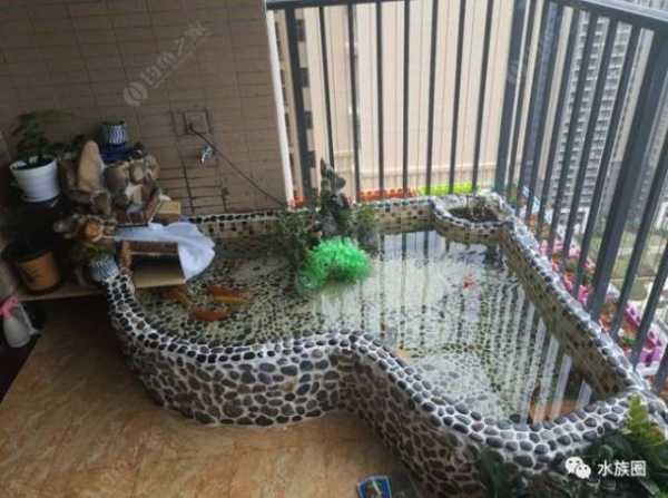 家居之选——揭秘最适合家用的鱼缸款式,象征,事业,希望,第1张