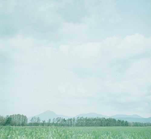 生肖猴运势分解，揭秘女猪与猴的奇妙缘分,事业,挑战,希望,第1张