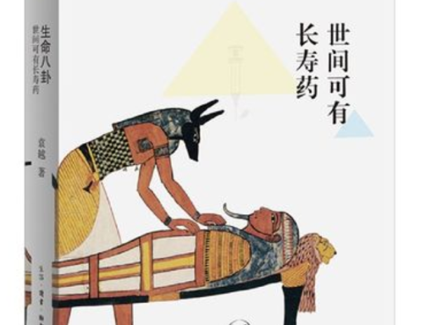 无安葬吉时，生死轮回中的无奈与思考,吉时,美好,法律,第1张