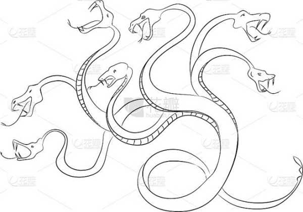 揭秘九头金蛇吉凶图,古老智慧的神秘指引,命运,事业,吉凶,第1张 揭秘九头金蛇吉凶图,古老智慧的神秘指引,命运,事业,吉凶,第1张