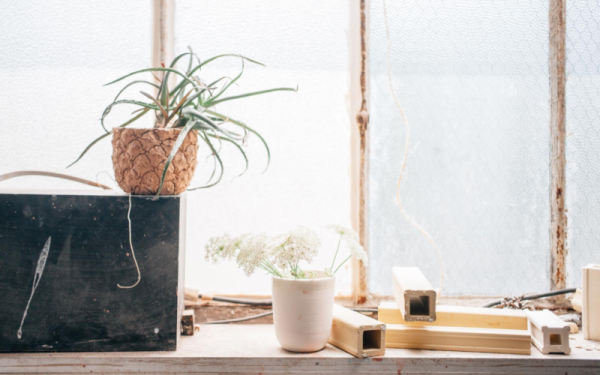 揭秘，为什么不能养乌龟禁忌，揭秘乌龟在中的真正含义,象征,事业,风水,第1张