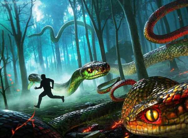 梦境解析，做梦被蛇咬，揭秘潜意识中的恐惧与愿望,象征,挑战,希望,第1张