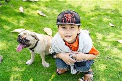 兔宝宝男孩缺木火,如何取一个如意的名字?,命运,事业,挑战,第1张 兔宝宝男孩缺木火,如何取一个如意的名字?,命运,事业,挑战,第1张