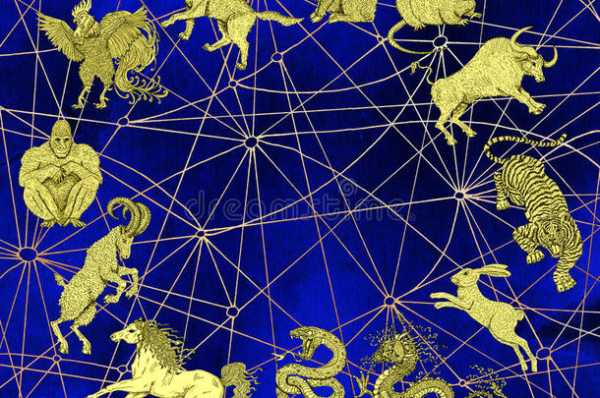 三毛十二生肖运势图片，解读生肖运势，探寻命运奥秘,命运,事业,美好,第1张