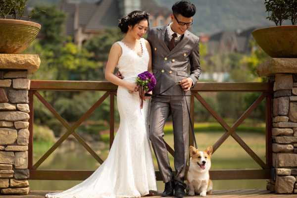 雨润泽，生肖吉时，新娘入门的浪漫时刻,象征,事业,挑战,第1张